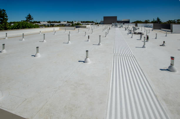 Best Emergency Roof Repair Services  in Ocean Park, WA